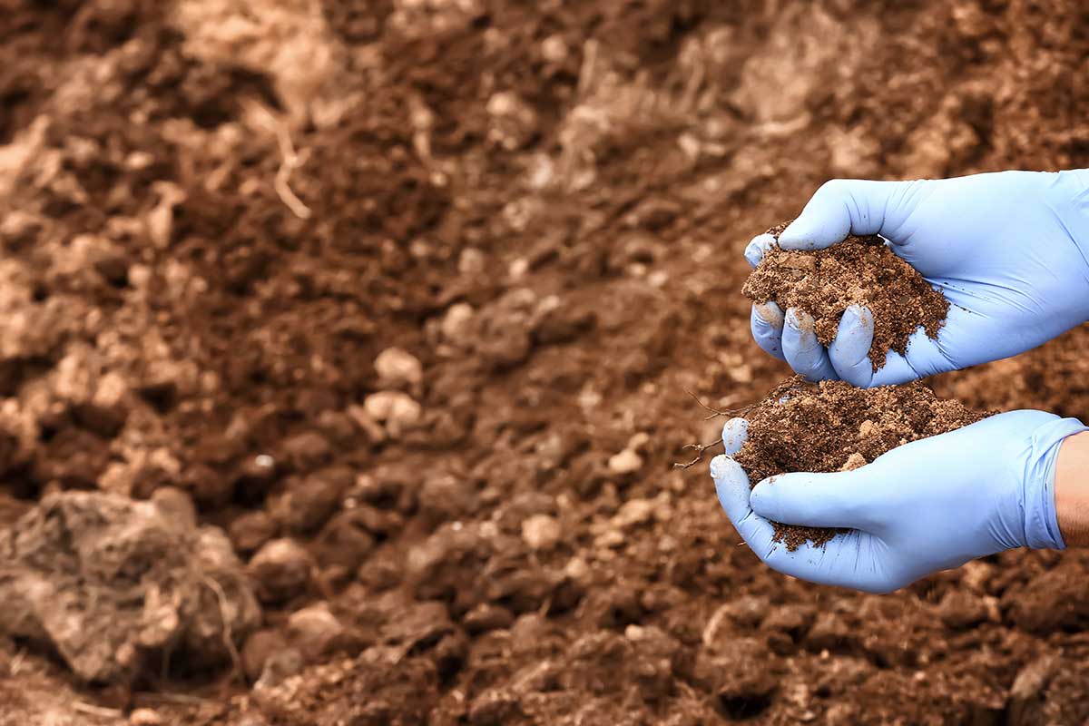 https://kltestinginc.com/wp-content/uploads/2026/02/soil-analysis.jpg